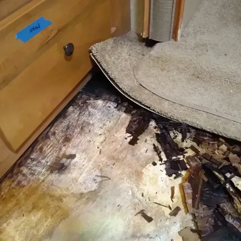 Wood Floor Water Damage in Southside, AL